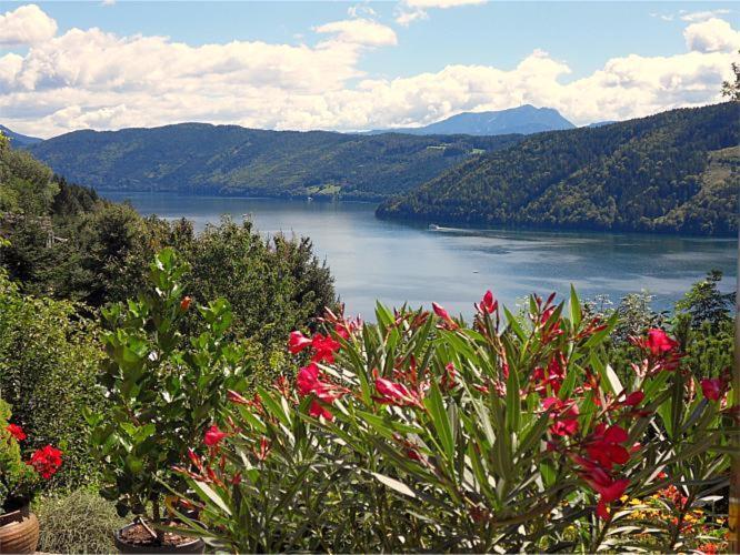 Fewo In Der Weinleiten Millstatt Dış mekan fotoğraf