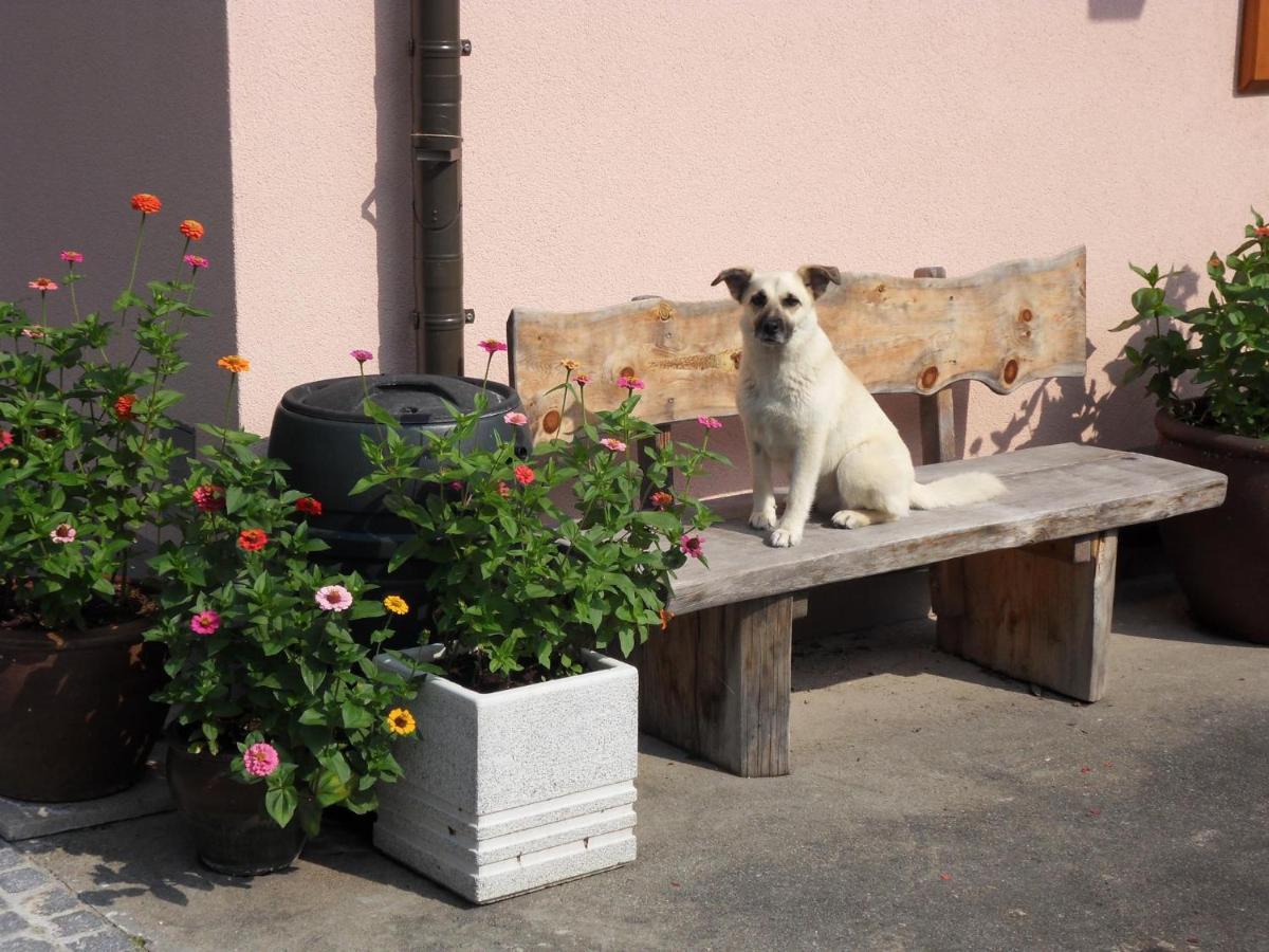 Fewo In Der Weinleiten Millstatt Dış mekan fotoğraf