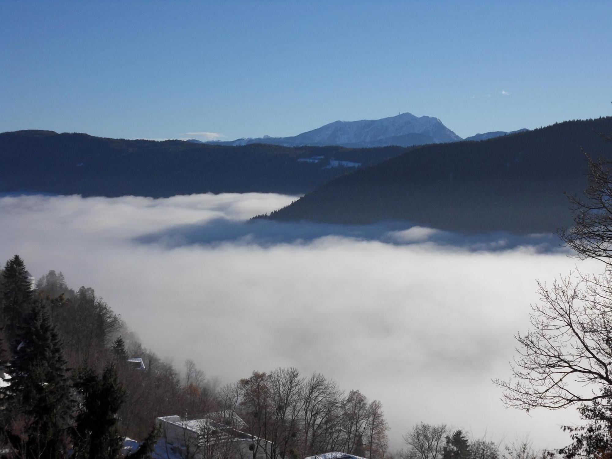 Fewo In Der Weinleiten Millstatt Dış mekan fotoğraf